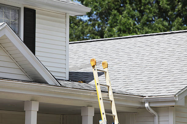 Best Storm Damage Siding Repair  in North College Hill, OH